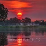 Avatar of Owais Siddiqui